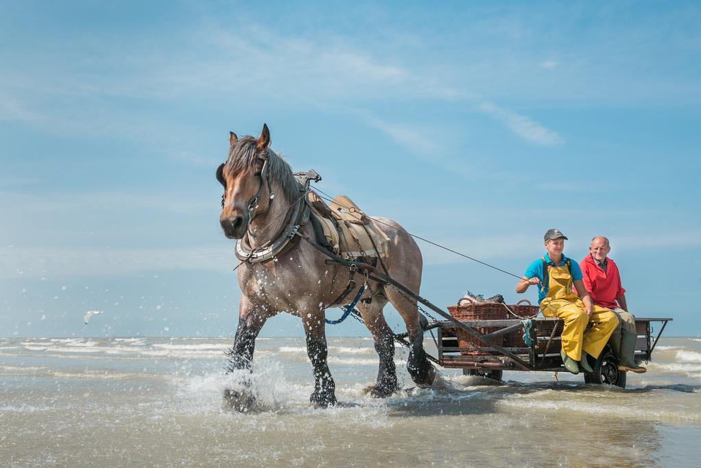 Jeugdherberg De Peerdevisser Oostduinkerke Exteriör bild