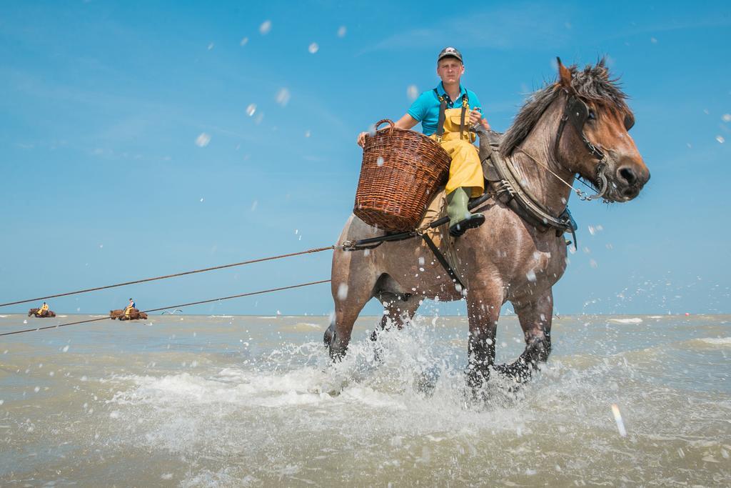 Jeugdherberg De Peerdevisser Oostduinkerke Exteriör bild